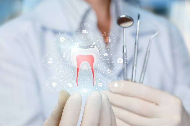 Best Full Mouth Reconstruction  in Lake Dallas, TX